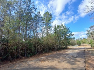 Private Lake Community, Golf Cart Friendly,
4 Camping Lots - photo 9