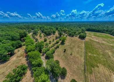 Luxury country living meets East Texas charm on this stunning 14 - photo 5