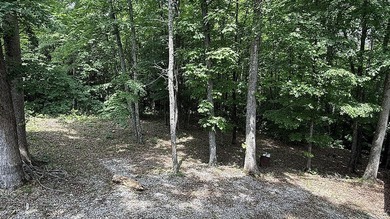 Turn Key Lake Cumberland Cottage on Large Lot w/ Storage - photo 24