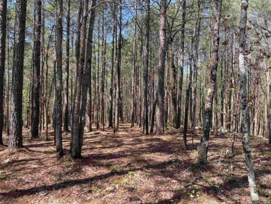 Lake Acreage For Sale in Mount Ida, Arkansas