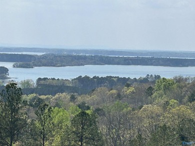 What a view! If you love the mountains but want to be near the - photo 1