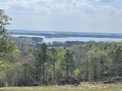 What a view! If you love the mountains but want to be near the - photo 2