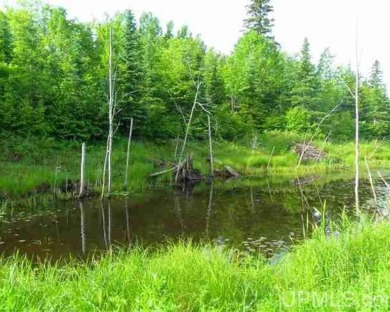 Firesteel River Acreage For Sale in Greenland Michigan