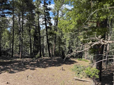 Monte Verde Lake Lot For Sale in Angel Fire New Mexico