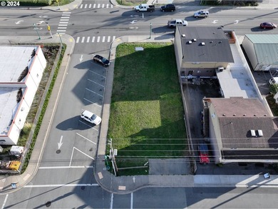 Exceptional corner lot, with parking! strategically positioned - photo 2