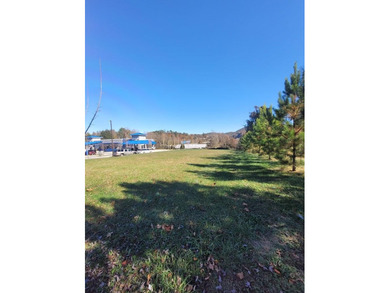 Lake Hiwassee Commercial For Sale in Murphy North Carolina