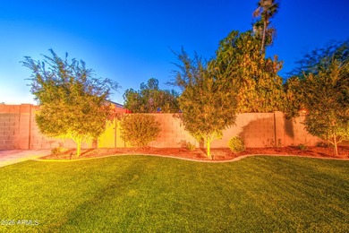 Welcome To One Of The Original Streets Of Dobson Ranch, In Fact - photo 18