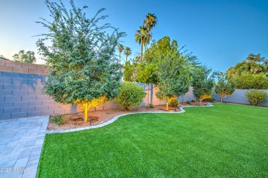 Welcome To One Of The Original Streets Of Dobson Ranch, In Fact - photo 20