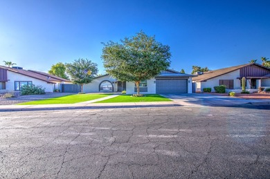 Welcome To One Of The Original Streets Of Dobson Ranch, In Fact - photo 22