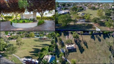 Welcome To One Of The Original Streets Of Dobson Ranch, In Fact - photo 27