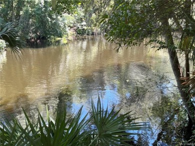 Lake Lot Off Market in Inglis, Florida