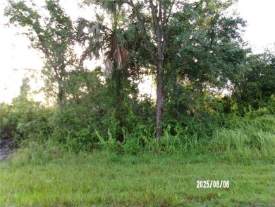 Port Charlotte Waterway Lakes Area Lot For Sale in Port Charlotte Florida