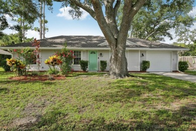Northport Waterway Lakes and Canals Home Sale Pending in North Port Florida