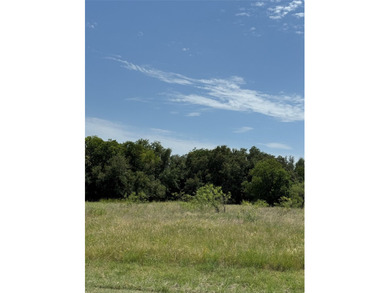 This property is located in White Bluff Resort. The resort is - photo 2