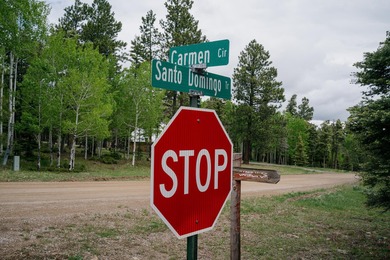 Thinking of building ? This may just be the right lot for you - photo 2