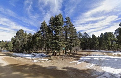 Thinking of building ? This may just be the right lot for you - photo 3
