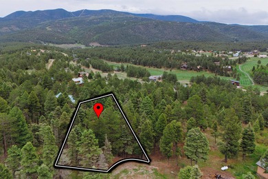 Thinking of building ? This may just be the right lot for you - photo 4