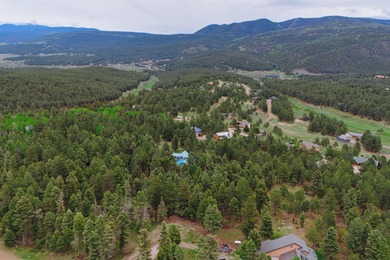 Thinking of building ? This may just be the right lot for you - photo 5