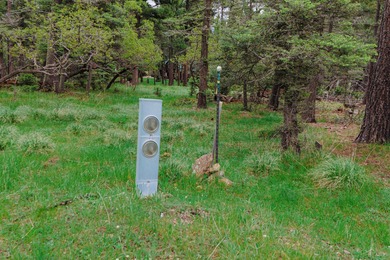 Thinking of building ? This may just be the right lot for you - photo 7