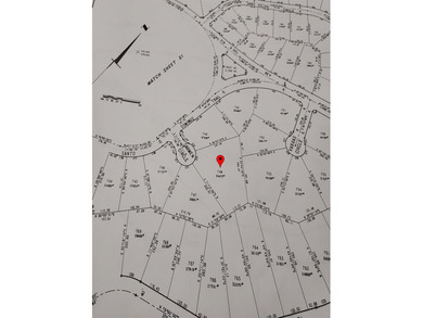 Thinking of building ? This may just be the right lot for you - photo 8