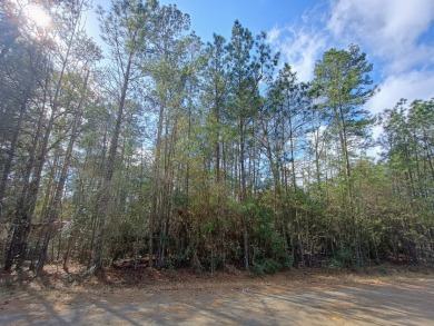 Private Lake Community, Golf Cart Friendly,
4 Camping Lots - photo 10