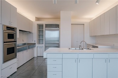 Rare opportunity to own one of the few penthouses in the - photo 10
