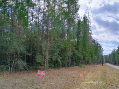 Private Lake Community, Golf Cart Friendly,
4 Camping Lots - photo 5