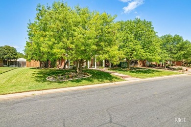 Every turn in this impeccably designed, Southland Hills home - photo 43