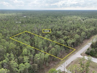 1.14 acre lot located on 2nd Ave NE in Golden Gate Estates. This - photo 1