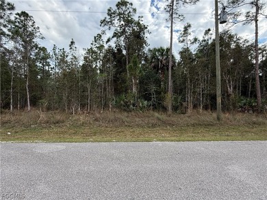 1.14 acre lot located on 2nd Ave NE in Golden Gate Estates. This - photo 3