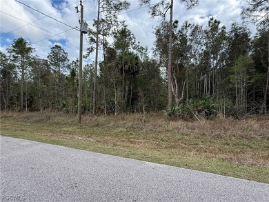 1.14 acre lot located on 2nd Ave NE in Golden Gate Estates. This - photo 4