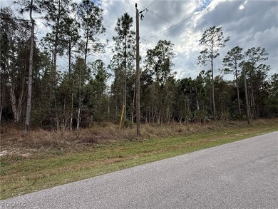 1.14 acre lot located on 2nd Ave NE in Golden Gate Estates. This - photo 5