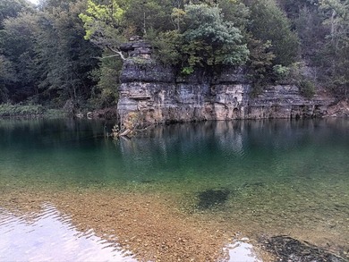 (private lake, pond, coastal) Home For Sale in Willow Springs Missouri