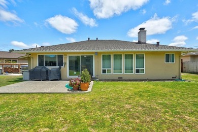 Nestled on an expansive 10,000+ square foot lot, this - photo 20