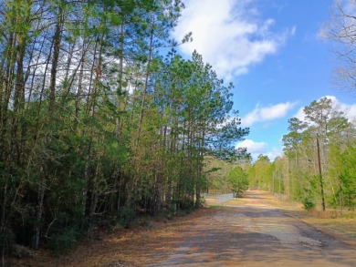 Private Lake Community, Golf Cart Friendly,
4 Camping Lots - photo 7