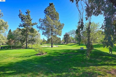 PALM SPRINGS IN DANVILLE!!! DOWNSIZE WITHOUT COMPROMISING ON - photo 28