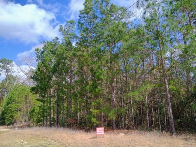 Private Lake Community, Golf Cart Friendly,
4 Camping Lots - photo 6