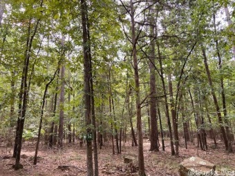 Greers Ferry Lake Lot For Sale in Fairfield Bay Arkansas