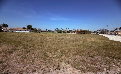 Prime corner canal lot in desirable Rotonda West Neighborhood! - photo 4