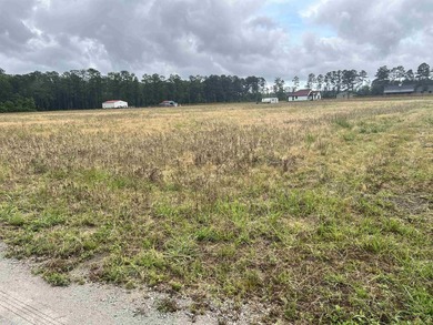 If you're looking for peaceful country living, look no further! - photo 1