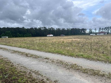 If you're looking for peaceful country living, look no further! - photo 3