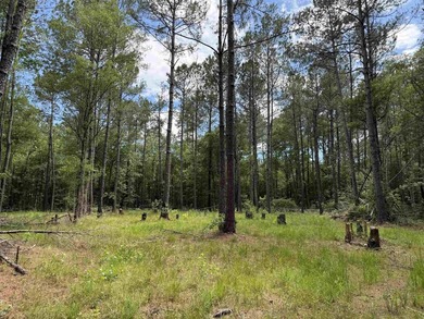 17.80 acres located on Pennyroyal Road in Georgetown offering - photo 1
