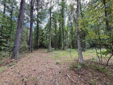 17.80 acres located on Pennyroyal Road in Georgetown offering - photo 2
