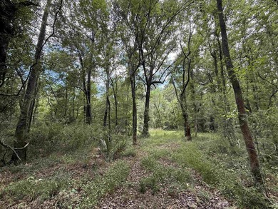 17.80 acres located on Pennyroyal Road in Georgetown offering - photo 3