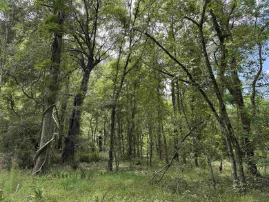 17.80 acres located on Pennyroyal Road in Georgetown offering - photo 4
