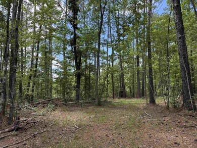 17.80 acres located on Pennyroyal Road in Georgetown offering - photo 5