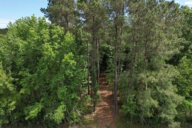 17.80 acres located on Pennyroyal Road in Georgetown offering - photo 6
