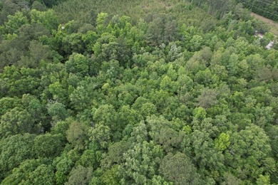 17.80 acres located on Pennyroyal Road in Georgetown offering - photo 8