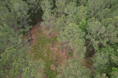 17.80 acres located on Pennyroyal Road in Georgetown offering - photo 9