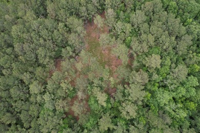 17.80 acres located on Pennyroyal Road in Georgetown offering - photo 10